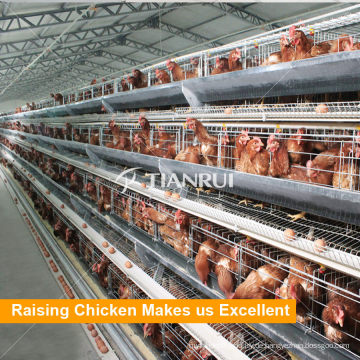 China a Type Layer Ei Chicken Cage zum Verkauf in Philippinen